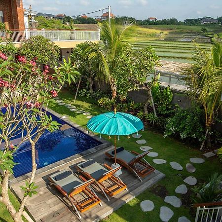 Frangipani House And Spa By Ecommerceloka 坎古 外观 照片