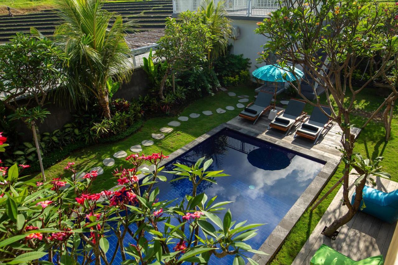 Frangipani House And Spa By Ecommerceloka 坎古 外观 照片