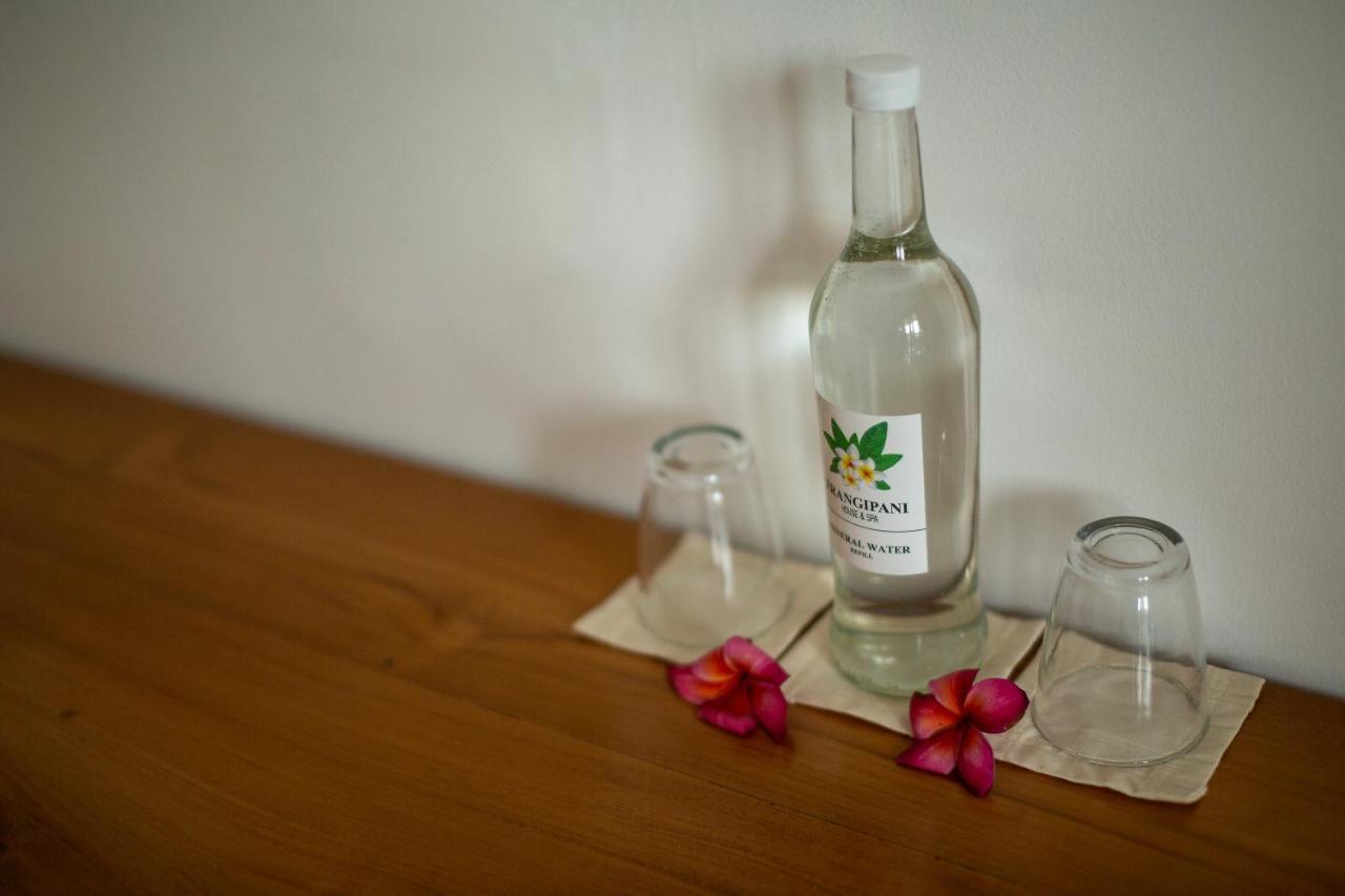 Frangipani House And Spa By Ecommerceloka 坎古 外观 照片